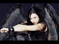 pic for Amy Lee black wings